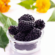 Blackberry Flavor Emulsion for High Heat Applications, Organic