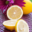 Lemon Italian Soda Syrup Powder, Sugar-Free