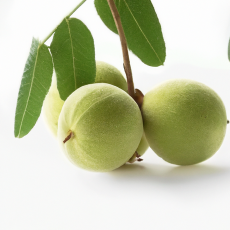 Black Walnut Flavor Emulsion for High Heat Applications, Organic