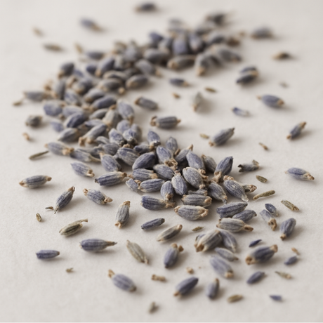 Natural Sugar Free Lavender Flavor Powder