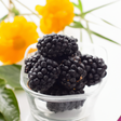 Blackberry Flavor Concentrate Without Diacetyl