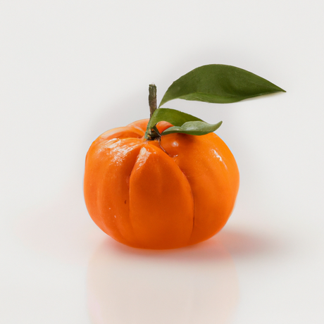 Mandarin Orange Flavor Concentrate Without Diacetyl