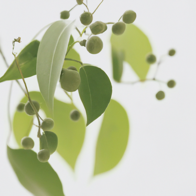 Wintergreen Flavor Oil for Lip Balm