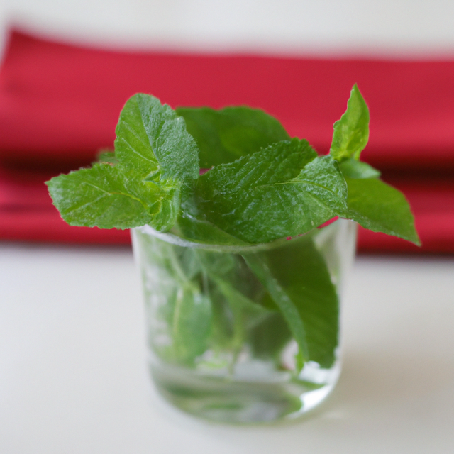 Spearmint Flavor Concentrate Without Diacetyl