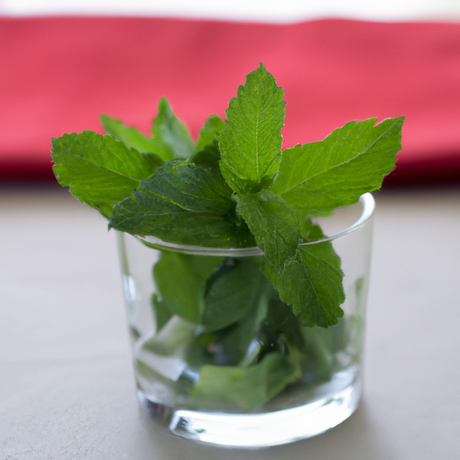 Spearmint Snow Cone Syrup, Natural