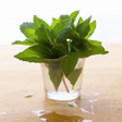 Mint Flavor Oil, Natural