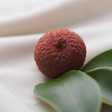 Lychee Flavor Concentrate Without Diacetyl