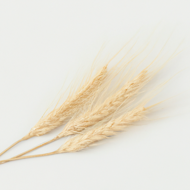 Malt Flavor Concentrate Without Diacetyl