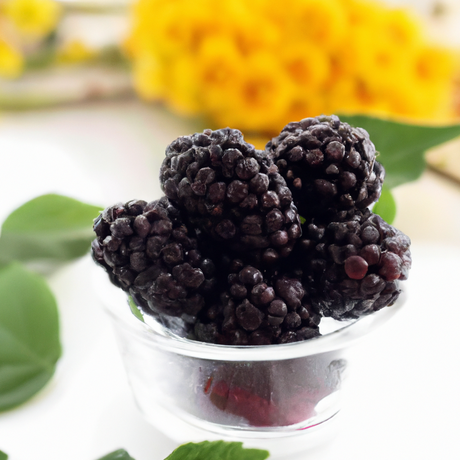 Blackberry Flavor Oil for Chocolate