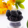 Blackberry Flavor Oil for Lip Balm