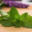 Mint Syrup, Natural