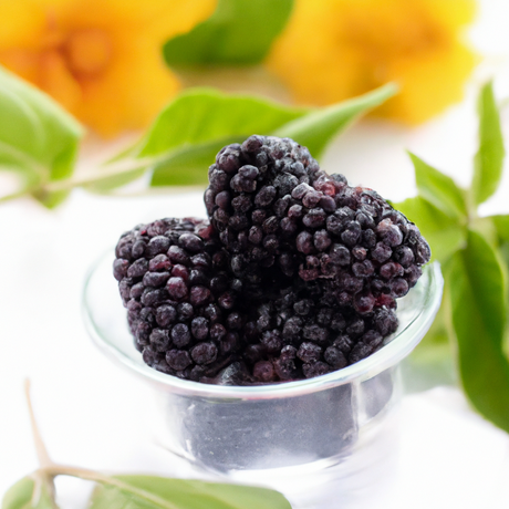 Blackberry Flavor Powder, Natural