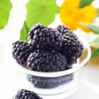 Black Raspberry Flavor Oil, Natural