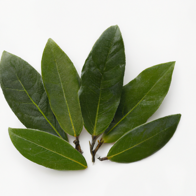 Bay Essential Oil, Natural