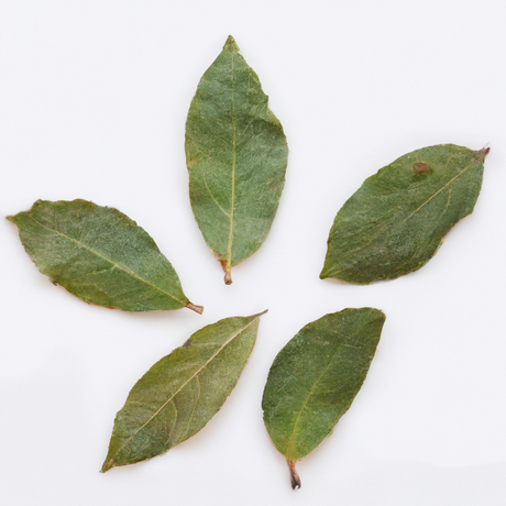 Sante Bay Essential Oil