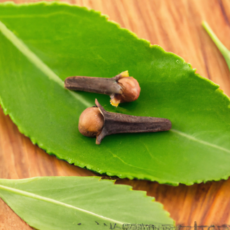 Sante Clove Leaf Essential Oil