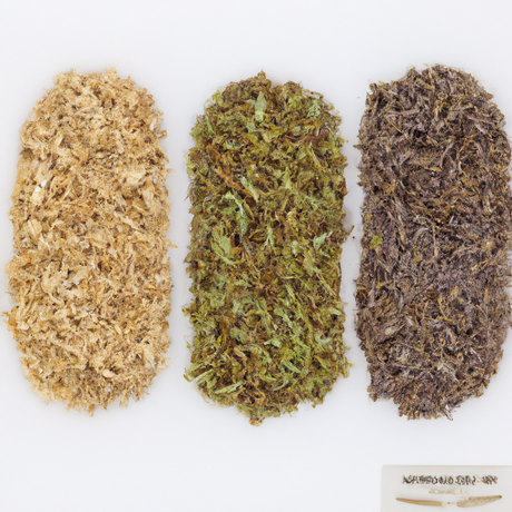 Sante Grain Fusel Essential Oil