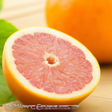Sante Grapefruit (California, 5X Fold) Essential Oil
