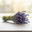 Sante Lavender (Bulgarian) Essential Oil