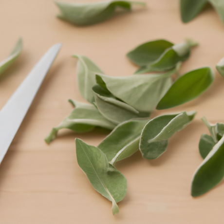 Origanum Essential Oil, Natural