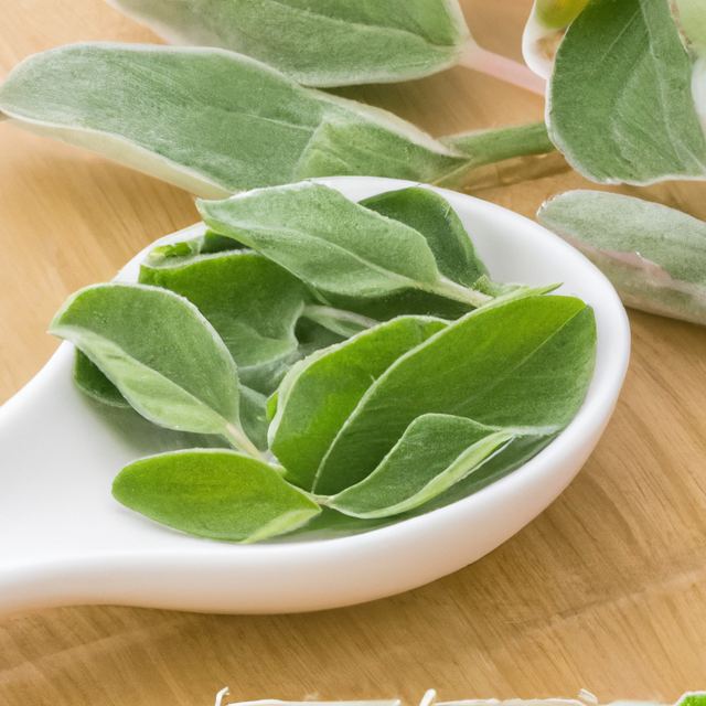 Sante Origanum Essential Oil