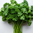 Sante Parsley Essential Oil