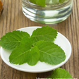 Sante Spearmint Essential Oil