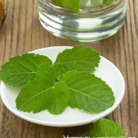 Sante Spearmint Essential Oil