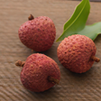 Lychee Flavor Oil, Natural