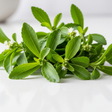 Stevia Drops