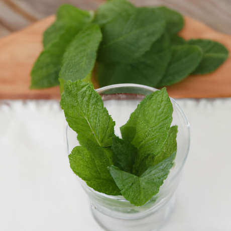 Spearmint Flavor Extract, Organic