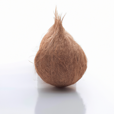 Coconut Fragrance Oil (Oil Soluble)