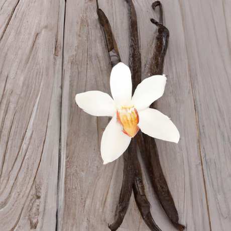 Vanilla Flavor Extract Aged (3x Fold), Organic without Diacetyl