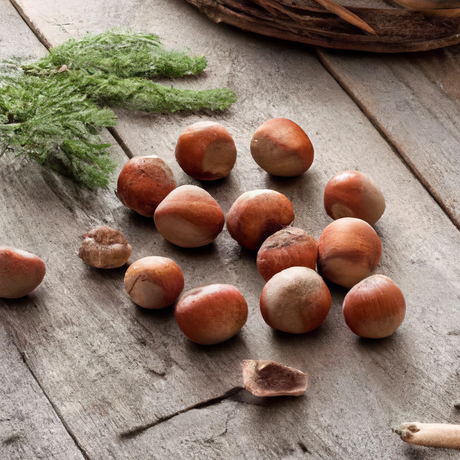 Hazelnut Flavor Extract, Natural