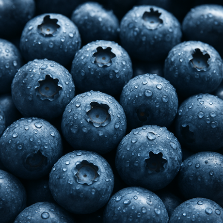 Blueberry Flavor Extract, Organic