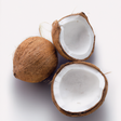 Organic Coconut Flavor Concentrate Without Diacetyl