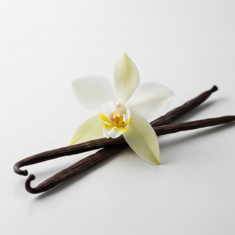 Vanilla Flavor Oil, Natural