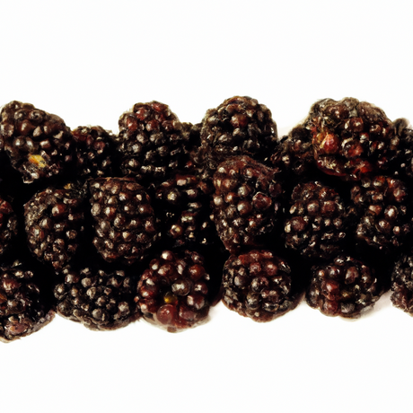 Boysenberry Pancake Syrup, Organic