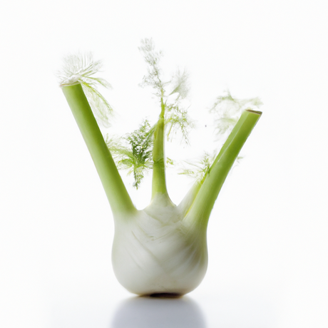 Anise Flavor Powder, Organic