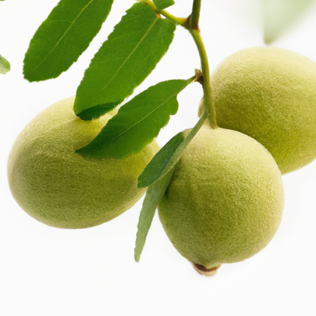 Organic Black Walnut Flavor Oil For Chocolate