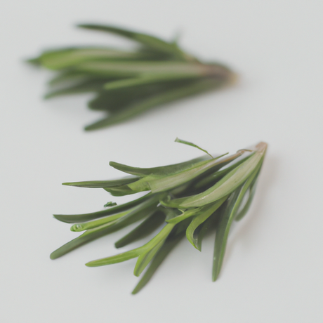 Organic Antioxidant with Rosemary