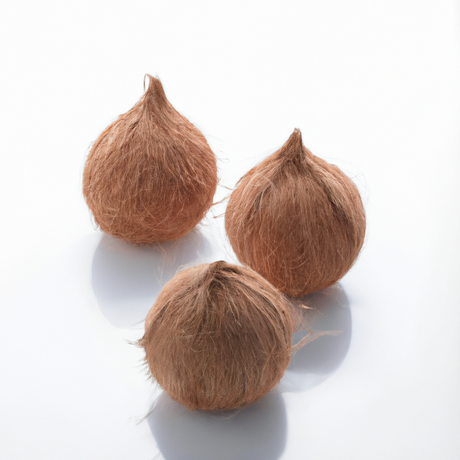 Coconut Flavor Powder (Sugar-Free), Organic