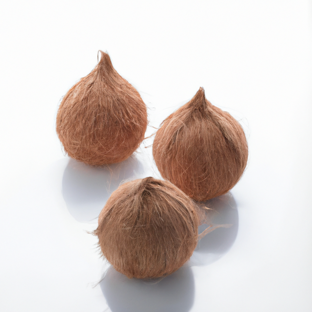 Coconut Flavor Powder (Sugar-Free), Organic