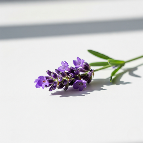 Lavender Tea Tree Flavor Extract, Organic