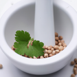 Coriander Seed Essential Oil, Organic