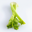 Celery Flavor Extract, Natural