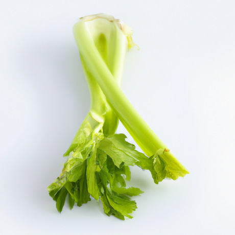 Celery Flavor Extract, Natural