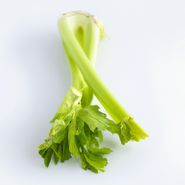 Celery Flavor Extract, Natural