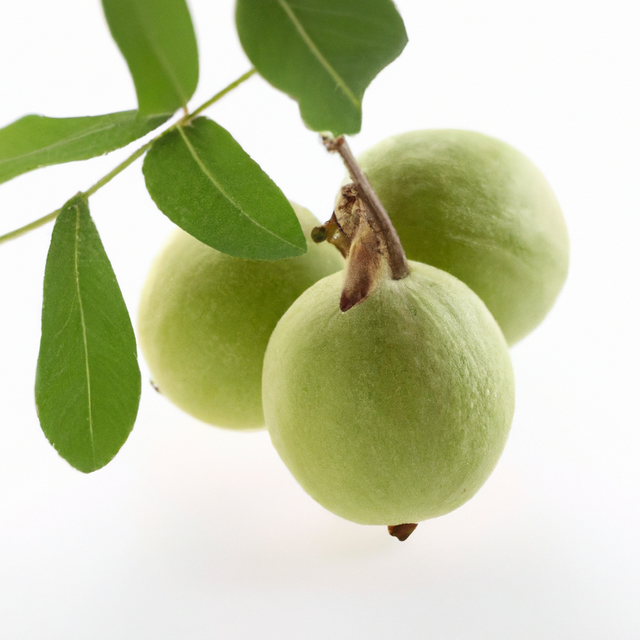 Black Walnut Flavor Oil, Natural