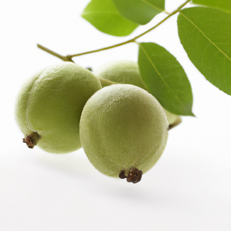 Black Walnut Flavor Oil for Chocolate